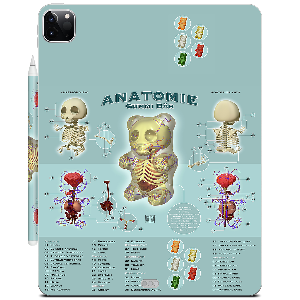 Gummi Anatomie iPad Skin