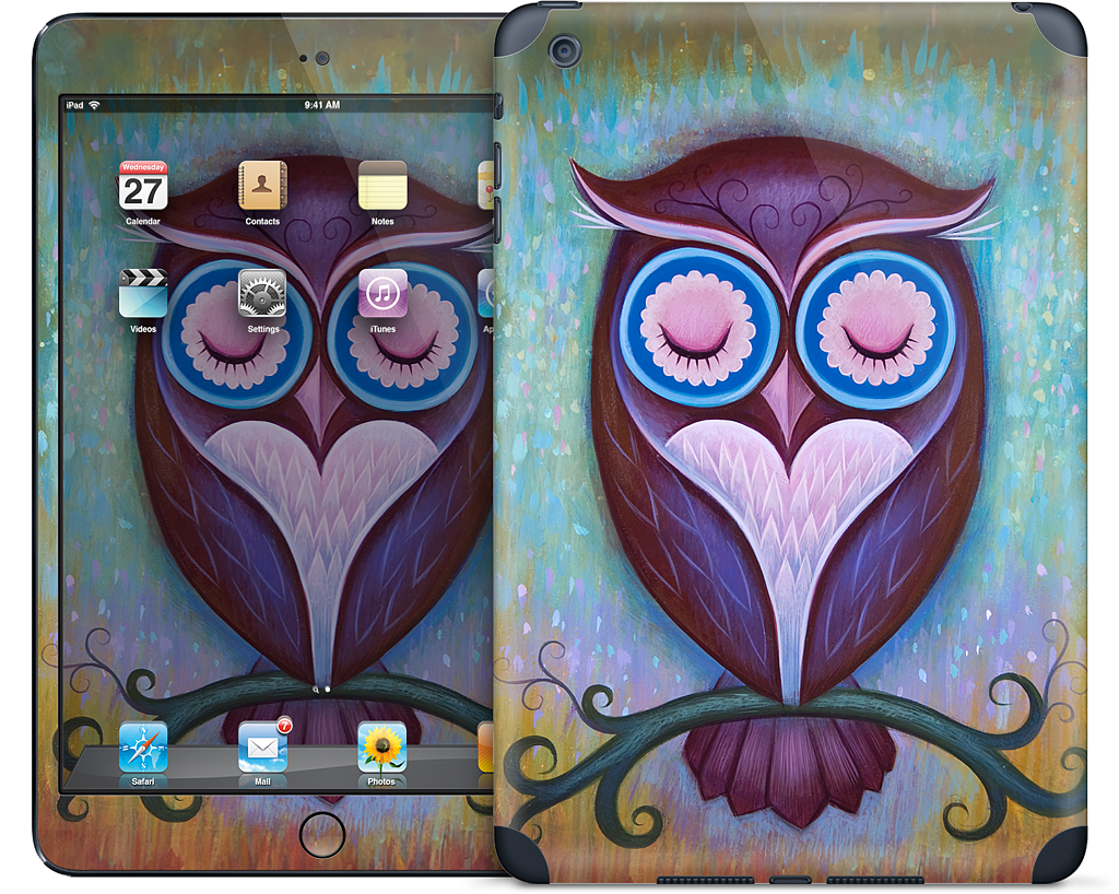 Sleepy Owl iPad Skin