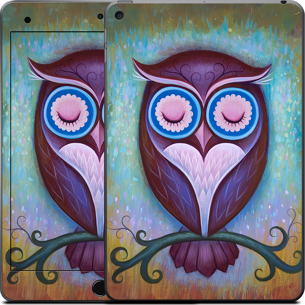 Sleepy Owl iPad Skin