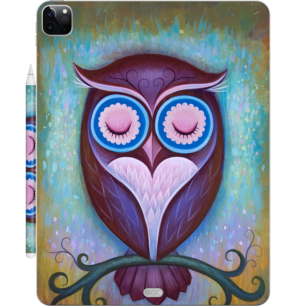 Sleepy Owl iPad Skin