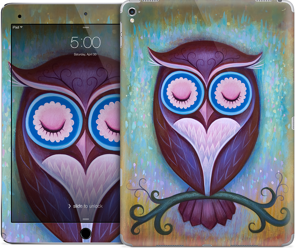 Sleepy Owl iPad Skin