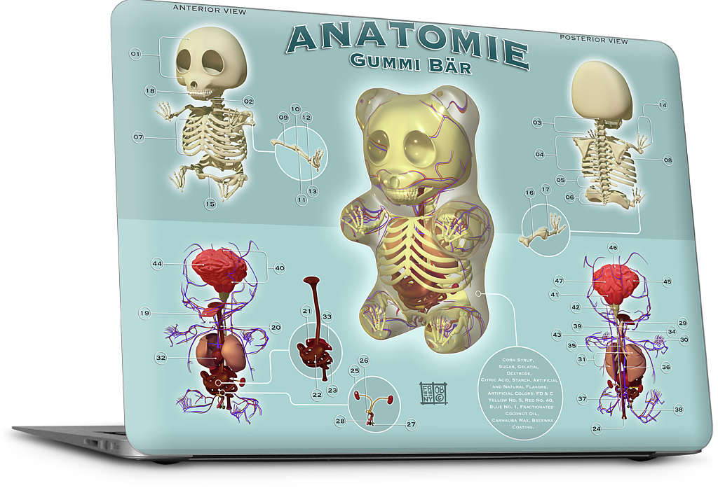 Gummi Anatomie MacBook Skin