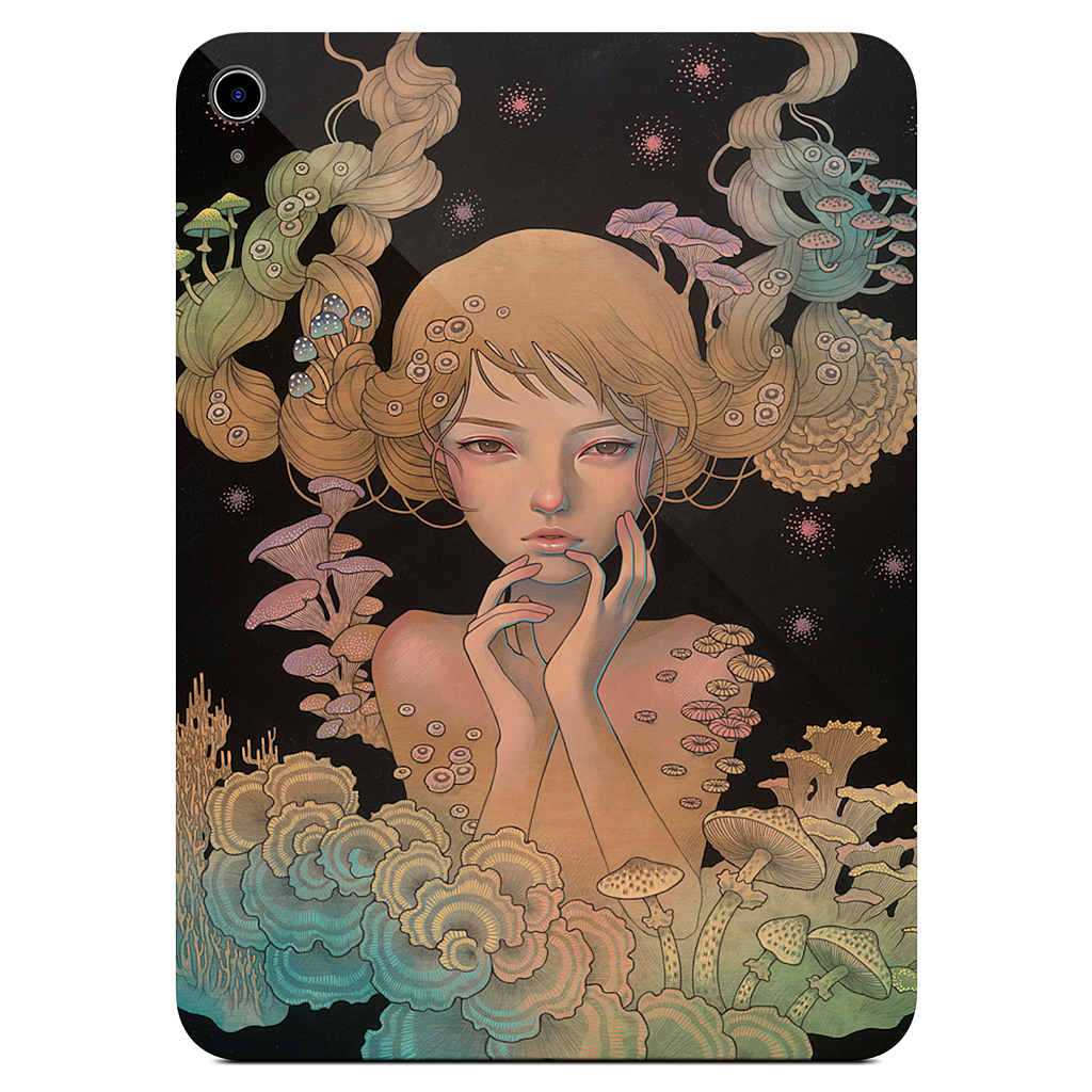 Offering iPad Skin