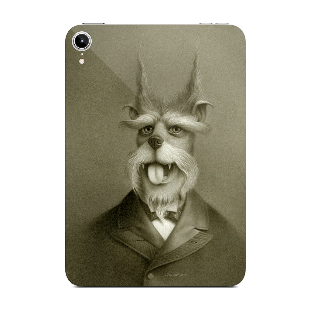 Rusty Of Unusual Circumstance iPad Skin