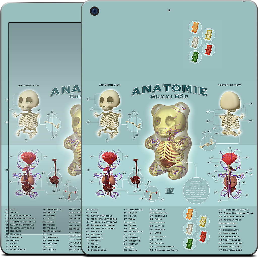 Gummi Anatomie iPad Skin