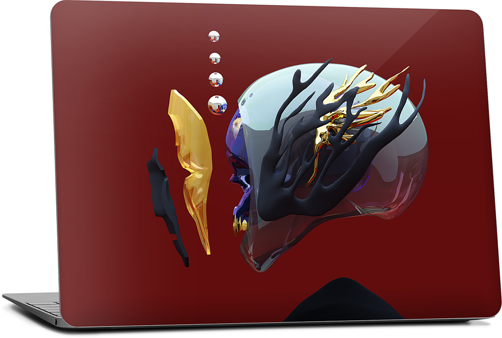 Portrait 043: The Indifference MacBook Skin