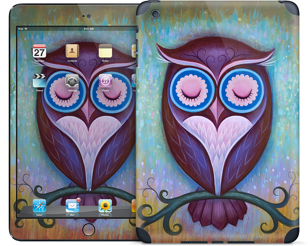 Sleepy Owl iPad Skin