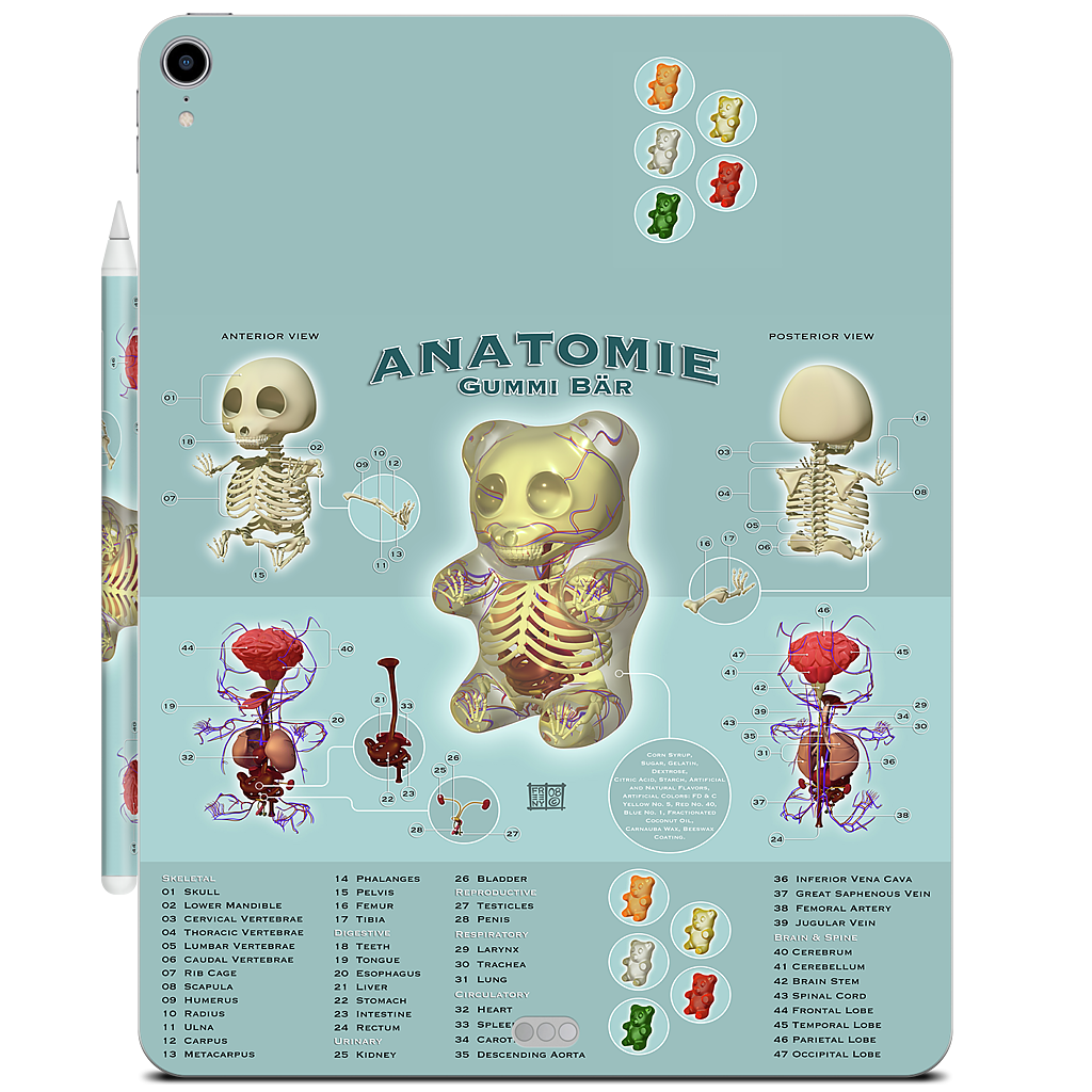 Gummi Anatomie iPad Skin