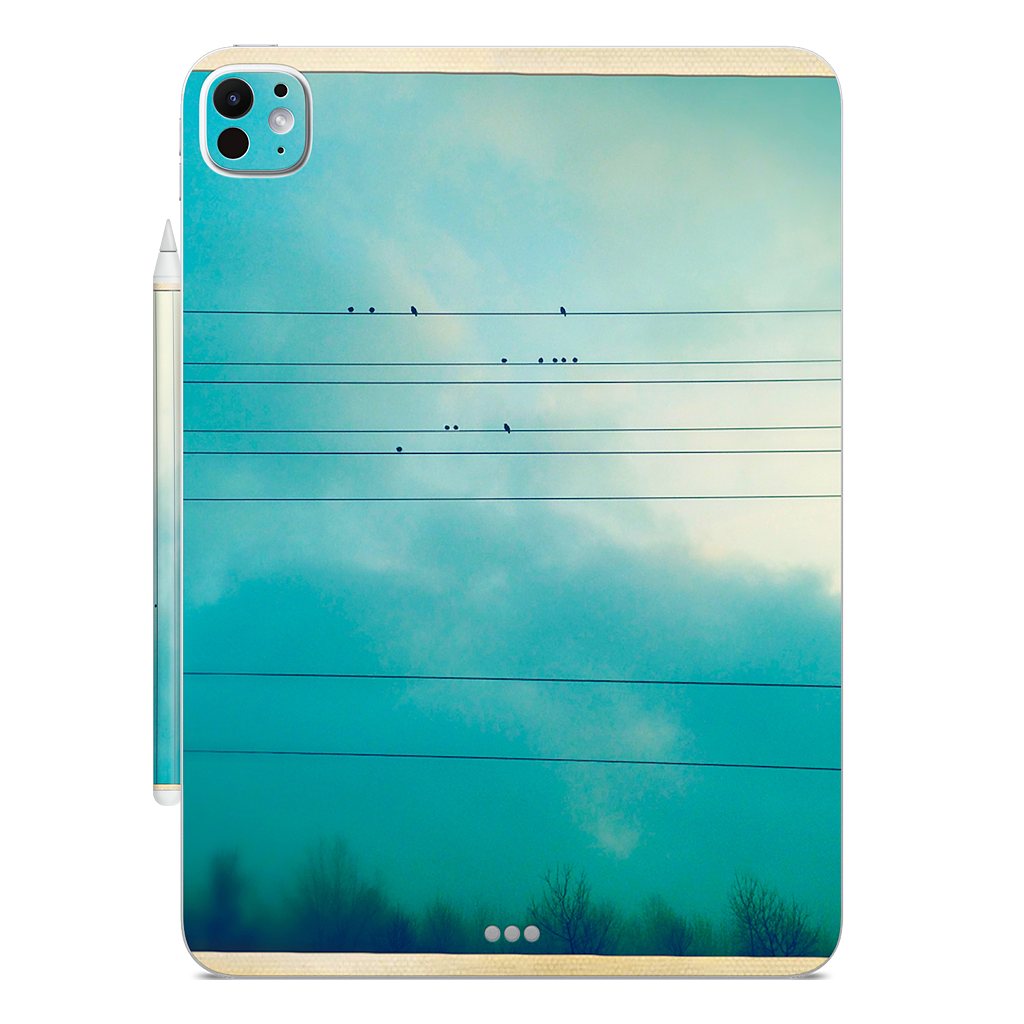 Birds on a wire iPad Skin