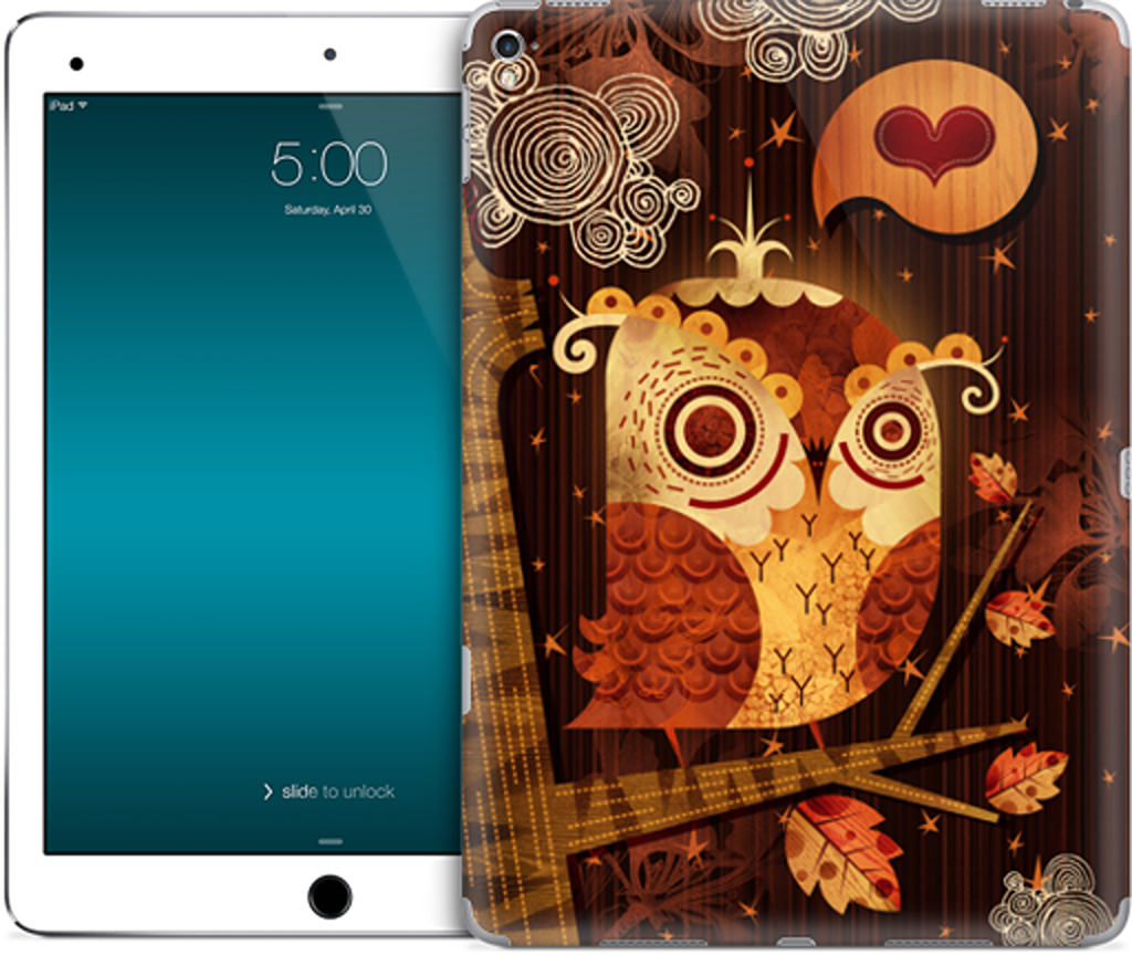 The Enamored Owl iPad Skin