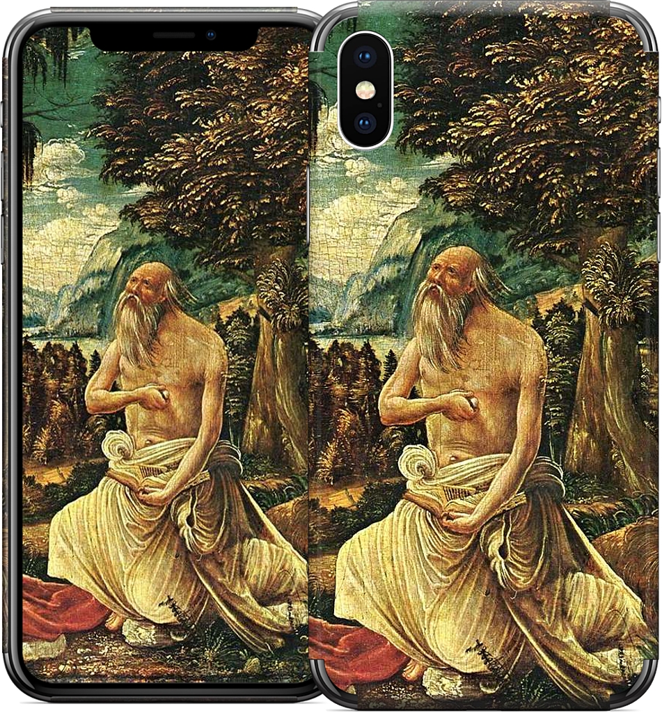 Büssender St. Jerome iPhone Skin