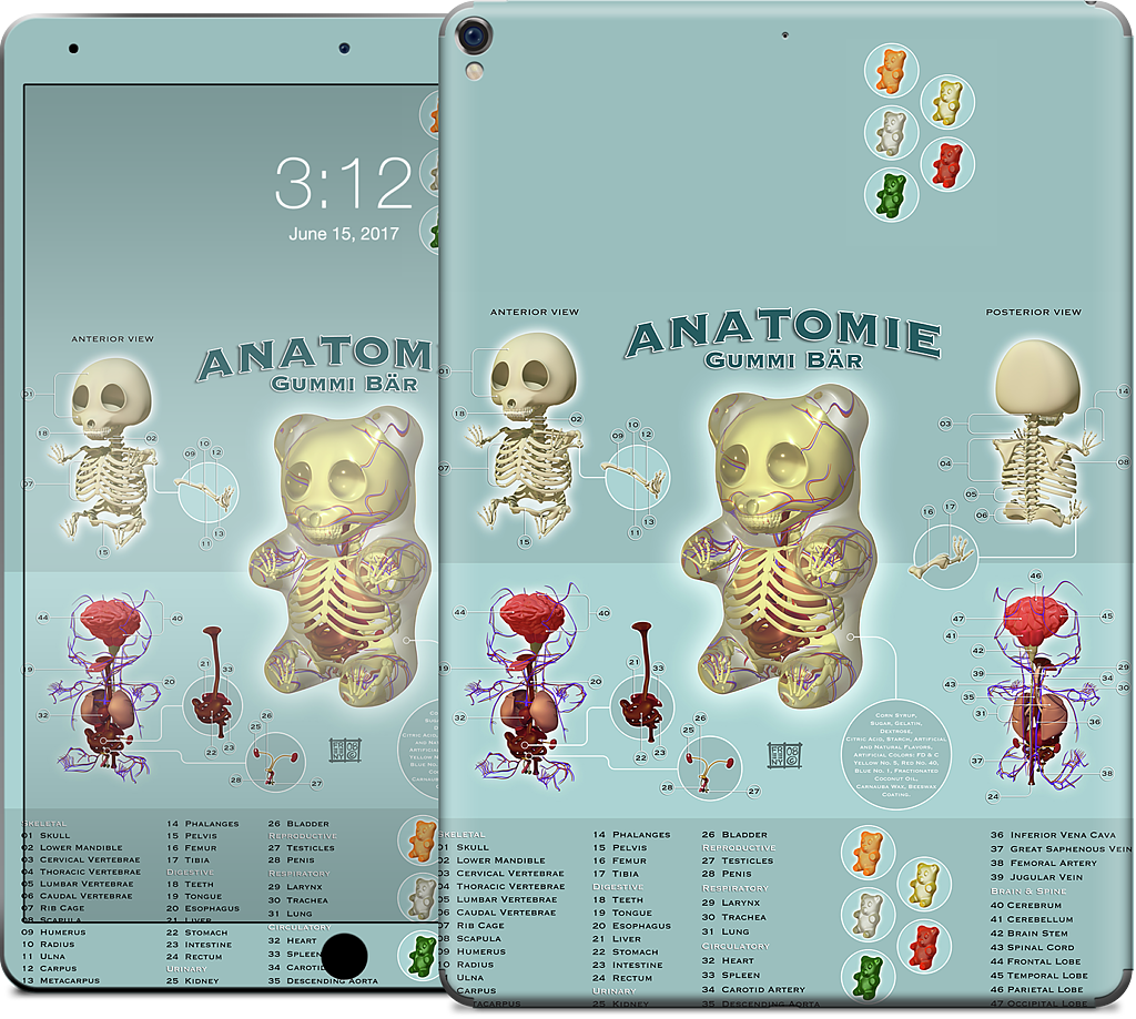 Gummi Anatomie iPad Skin