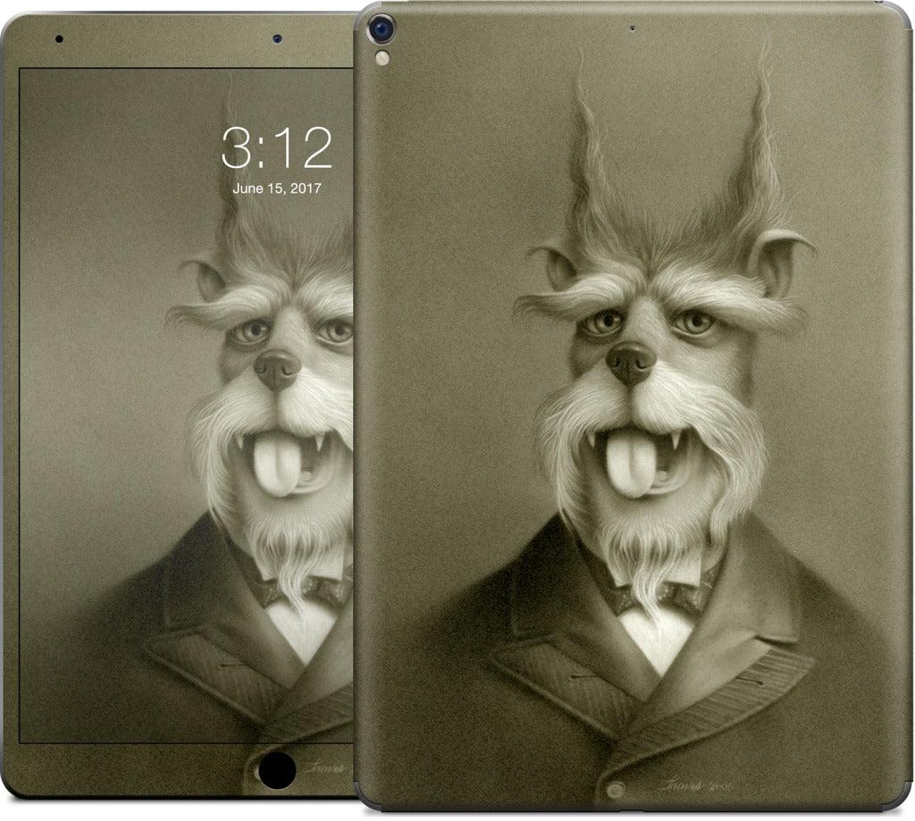 Rusty Of Unusual Circumstance iPad Skin