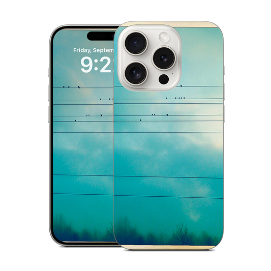 Birds on a wire iPhone Skin