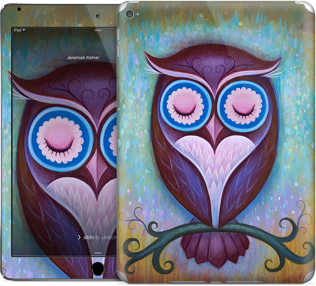 Sleepy Owl iPad Skin