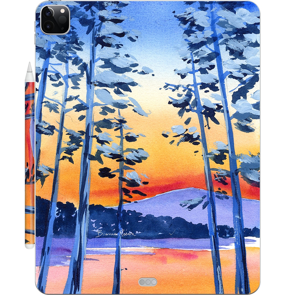 Lake Tahoe iPad Skin