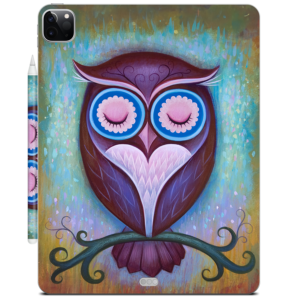 Sleepy Owl iPad Skin