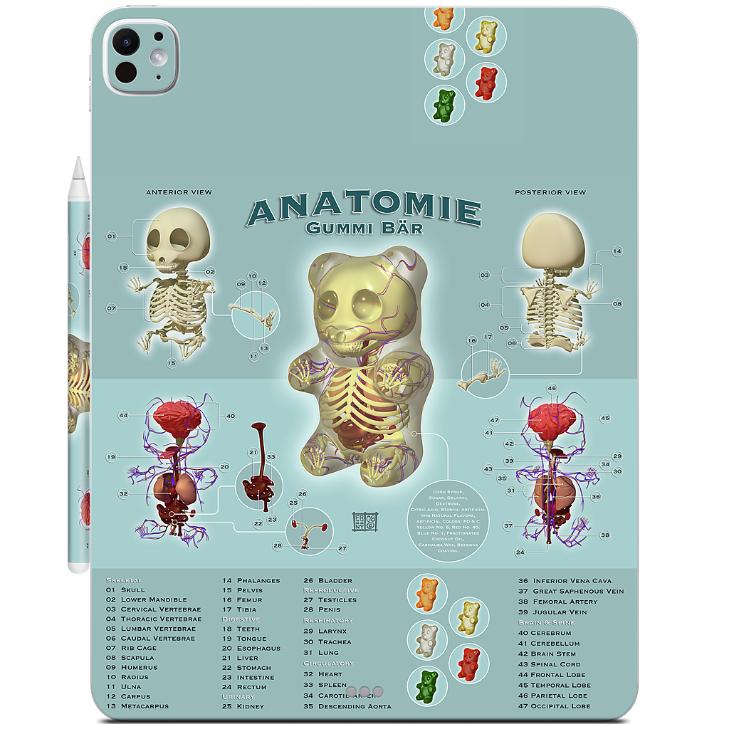 Gummi Anatomie iPad Skin