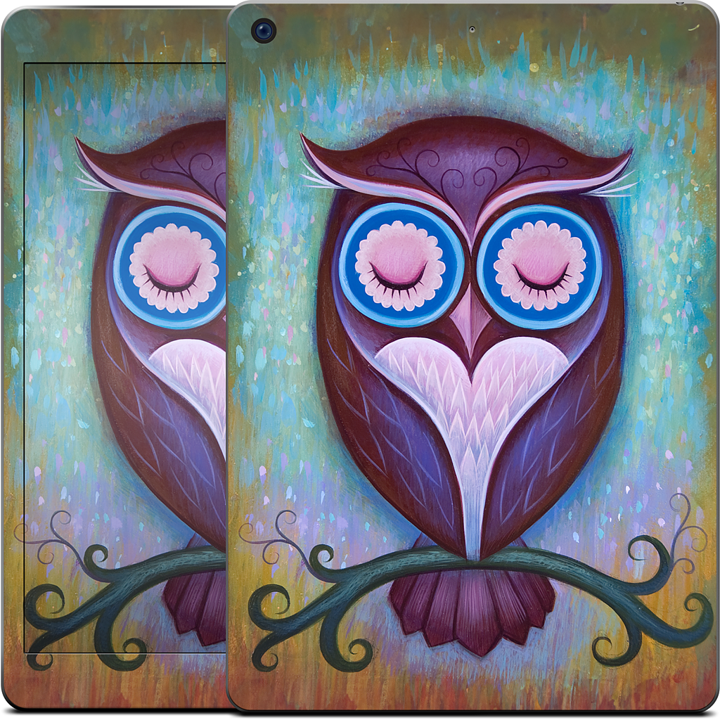 Sleepy Owl iPad Skin