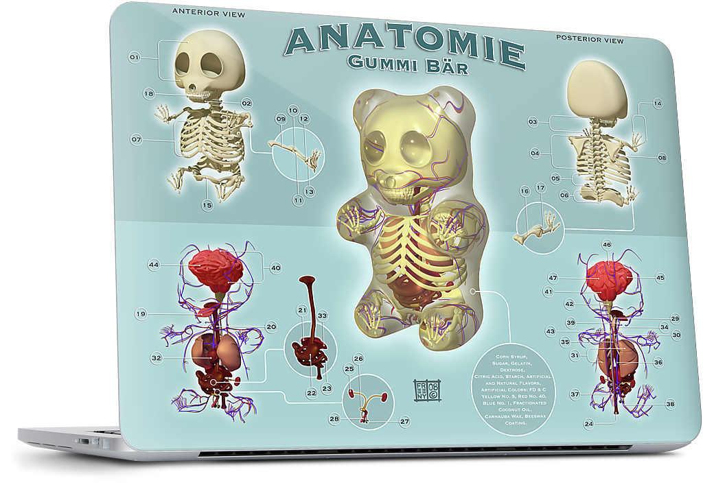 Gummi Anatomie MacBook Skin