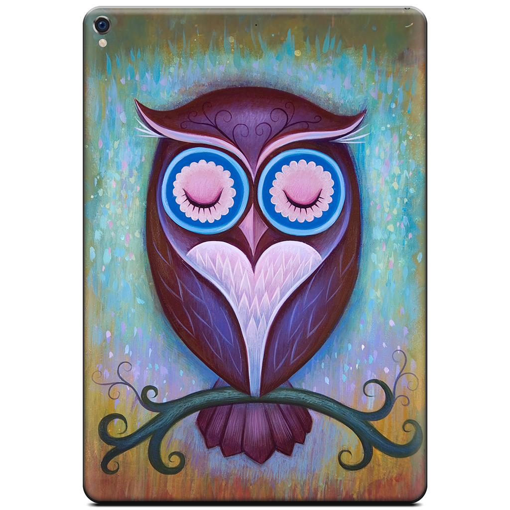 Sleepy Owl iPad Skin