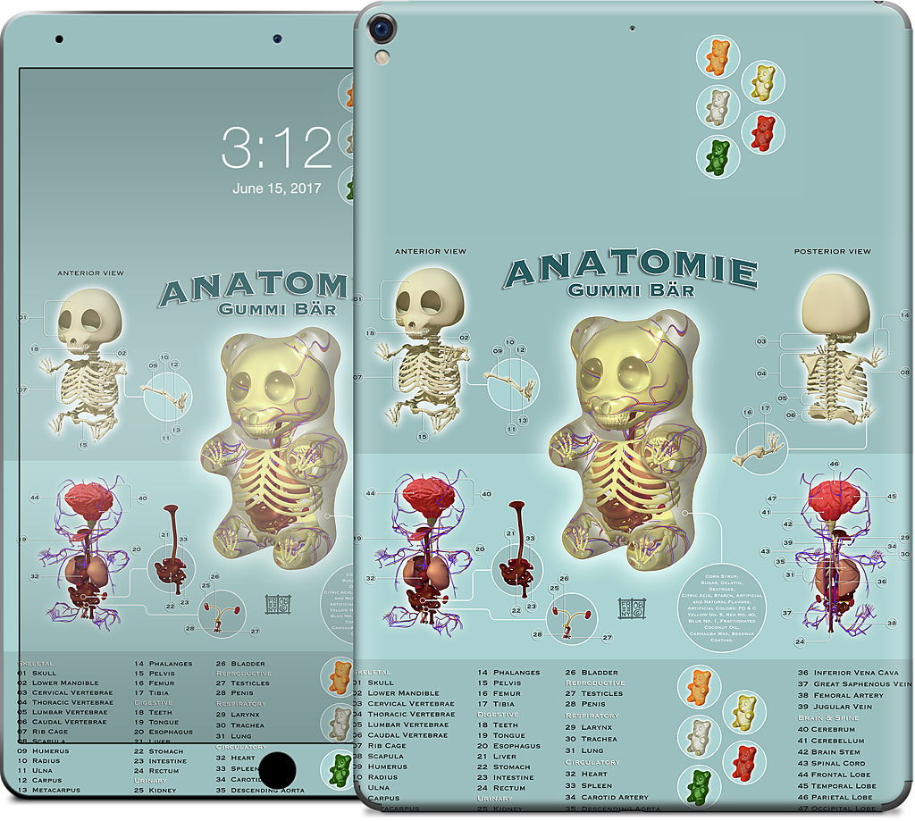 Gummi Anatomie iPad Skin