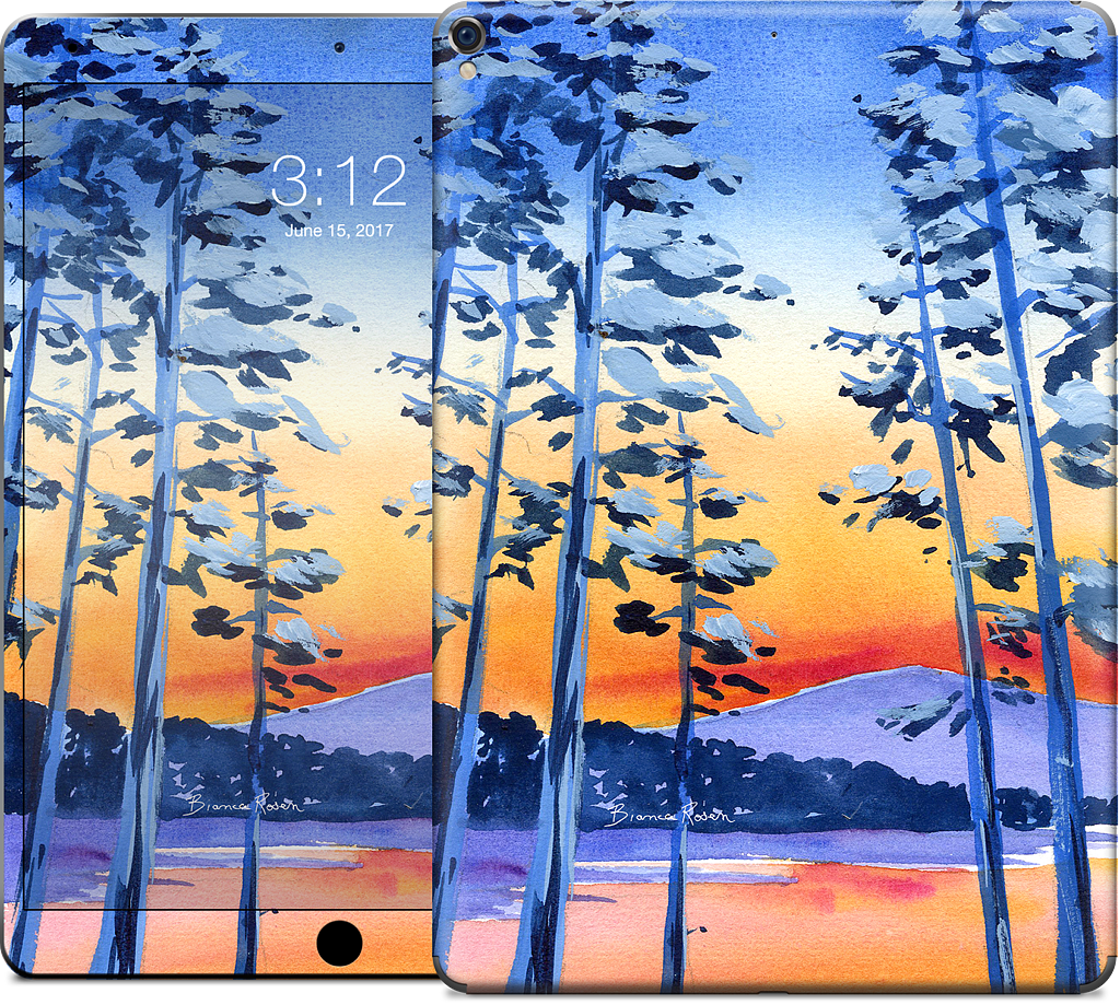 Lake Tahoe iPad Skin