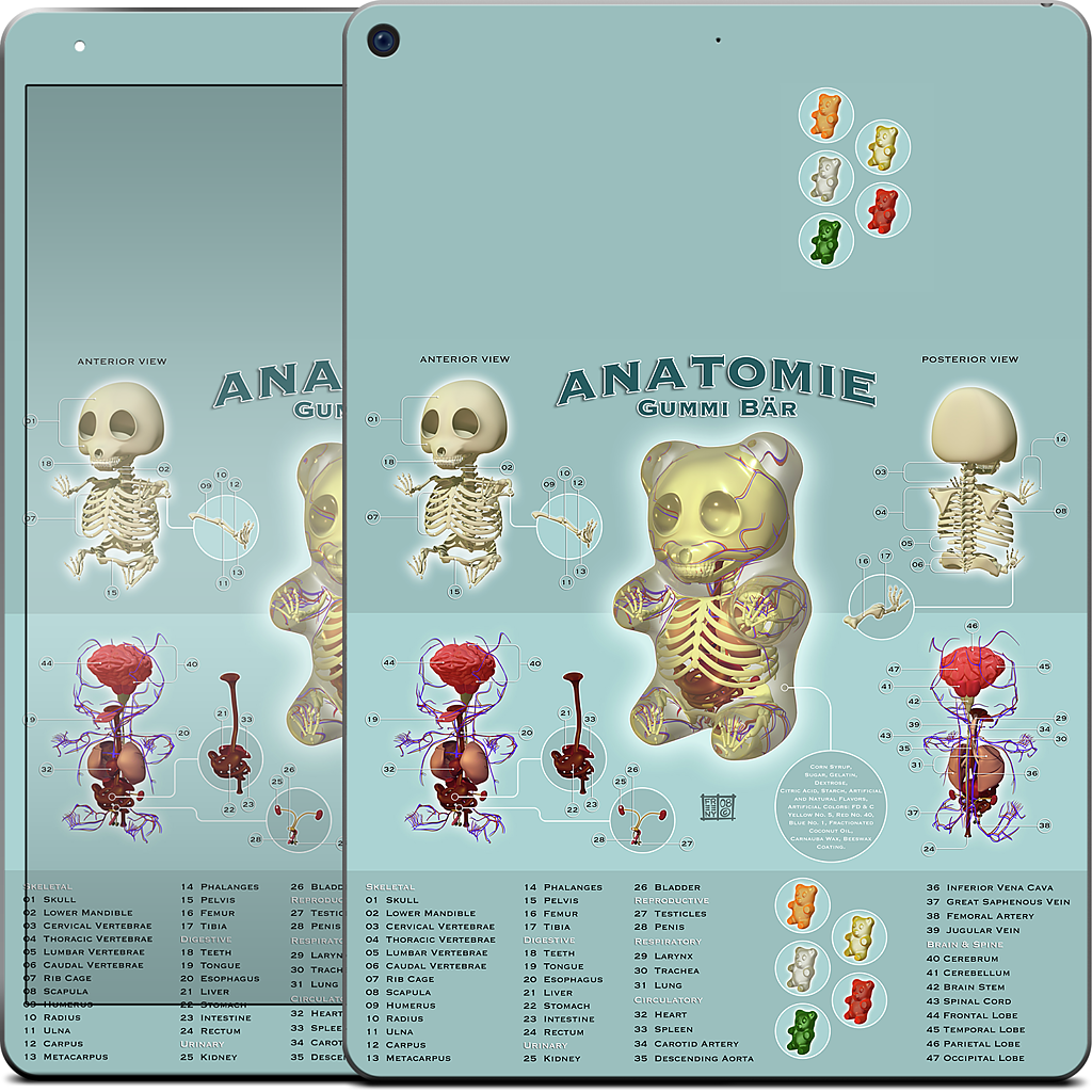 Gummi Anatomie iPad Skin