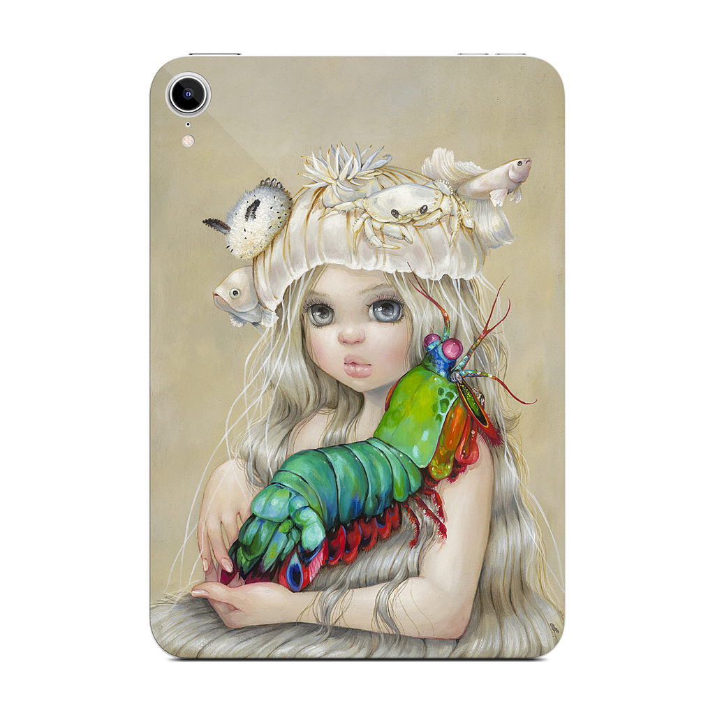 Prismatopod iPad Skin