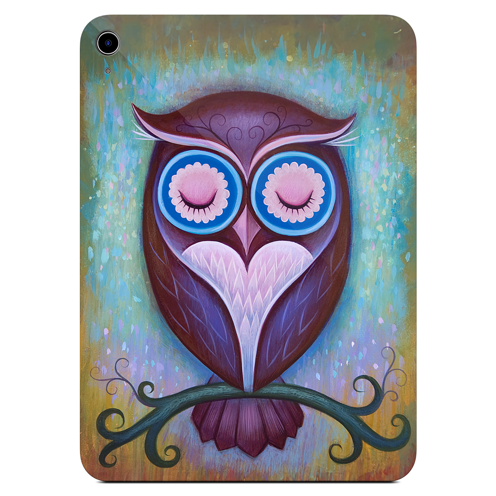 Sleepy Owl iPad Skin