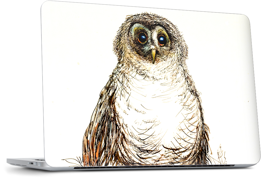 Baby Owl Dell Laptop Skin