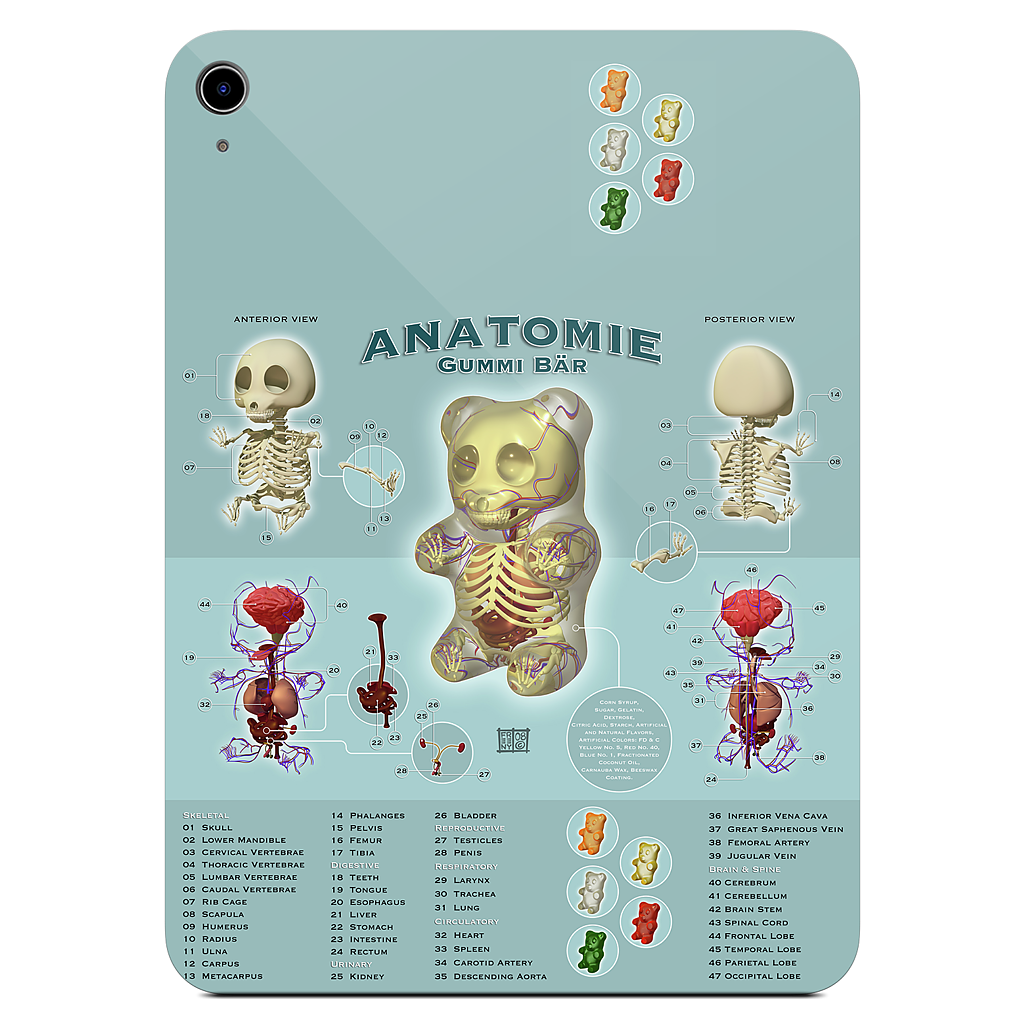 Gummi Anatomie iPad Skin