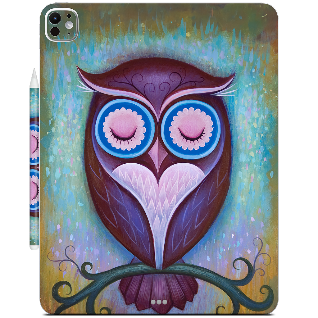 Sleepy Owl iPad Skin