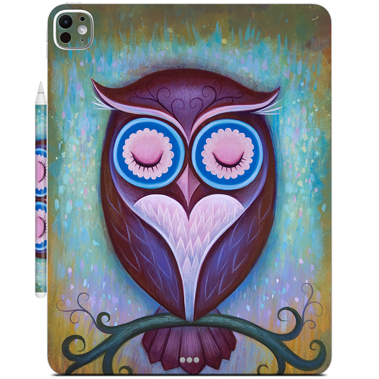 Sleepy Owl iPad Skin