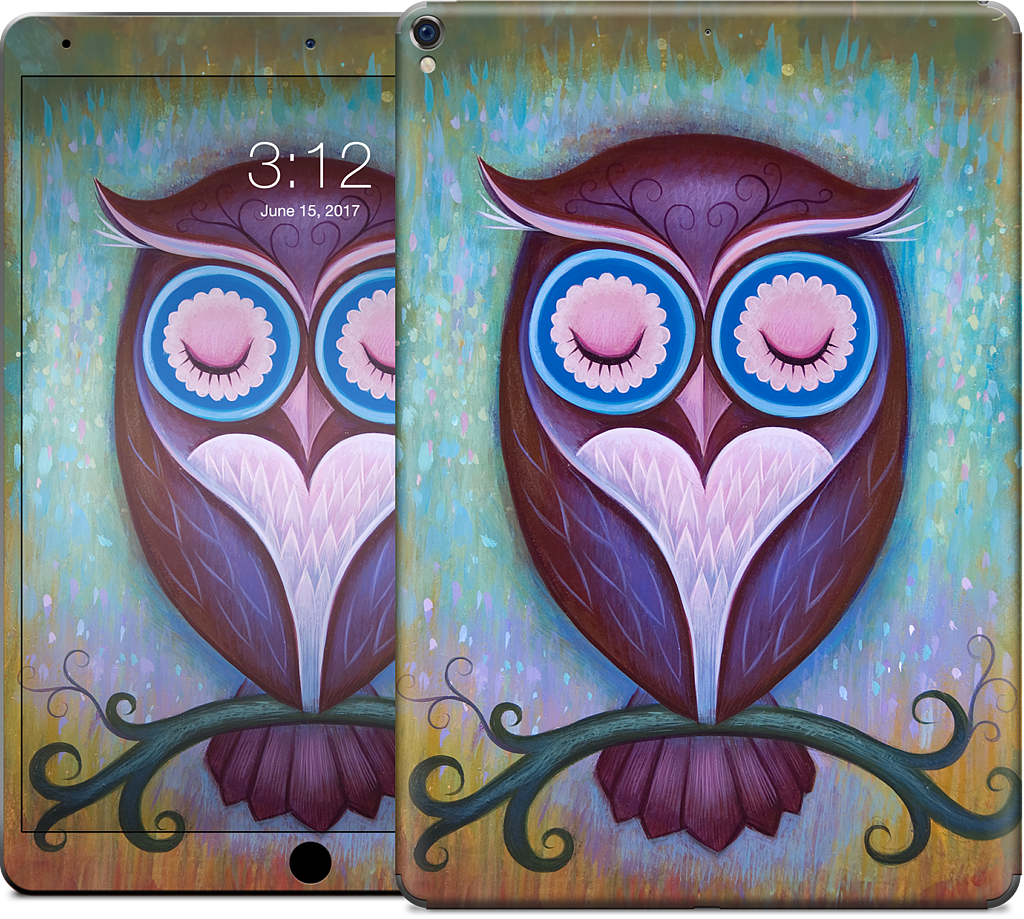 Sleepy Owl iPad Skin