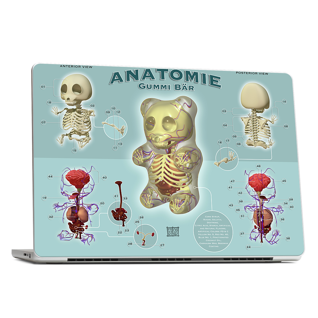 Gummi Anatomie MacBook Skin