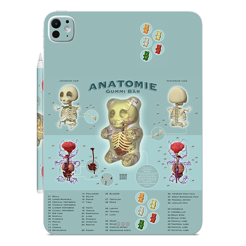 Gummi Anatomie iPad Skin