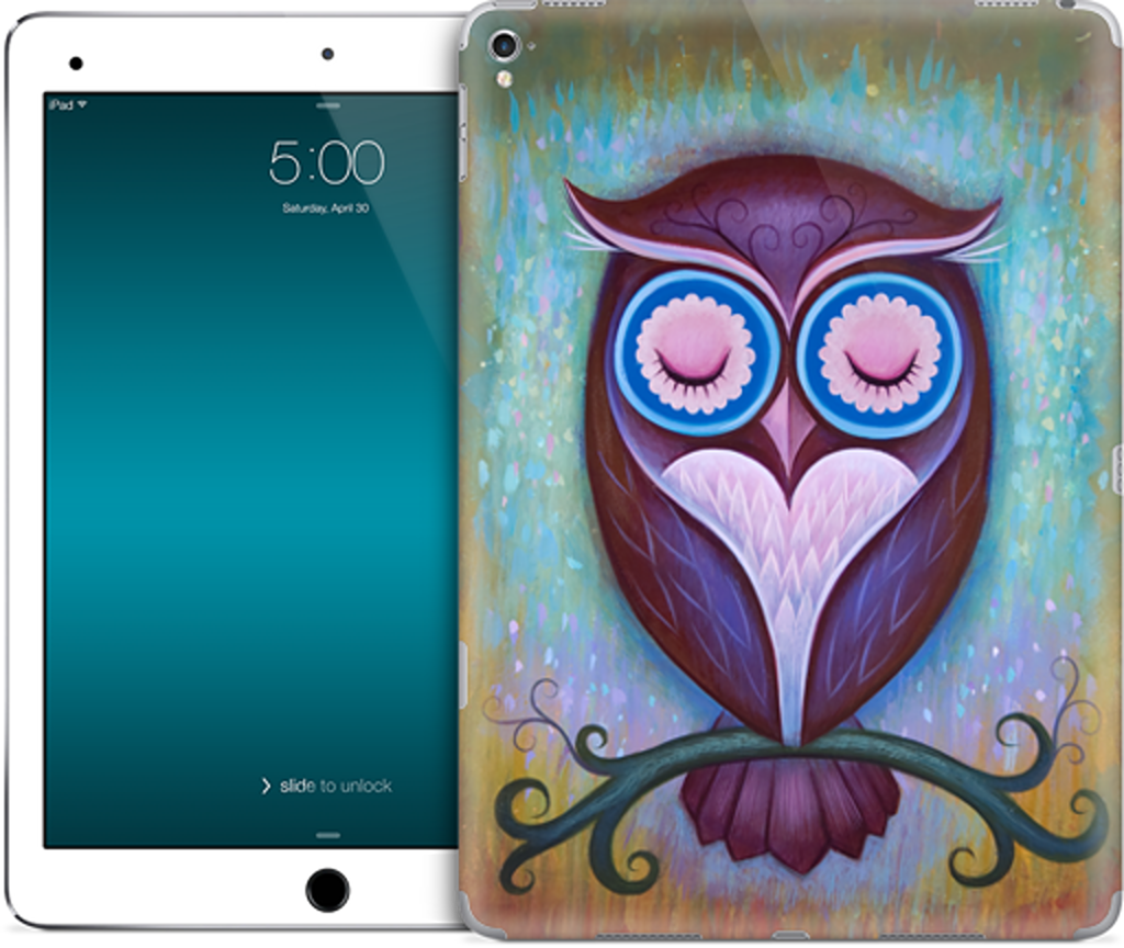 Sleepy Owl iPad Skin