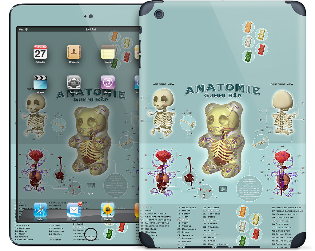 Gummi Anatomie iPad Skin