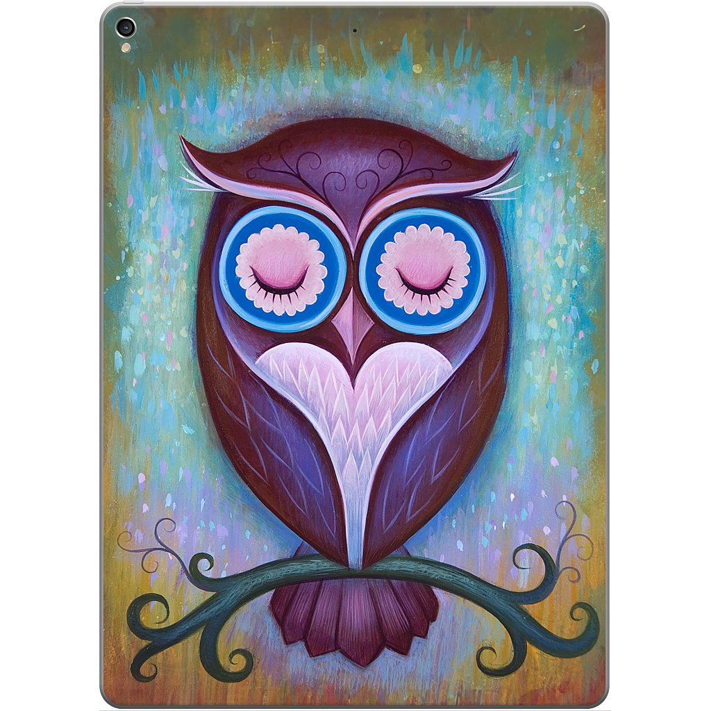 Sleepy Owl iPad Skin