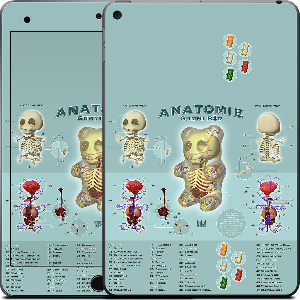 Gummi Anatomie iPad Skin