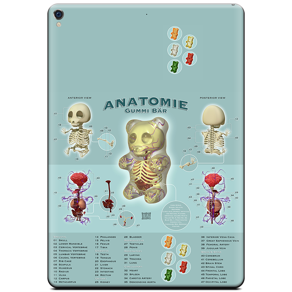 Gummi Anatomie iPad Skin