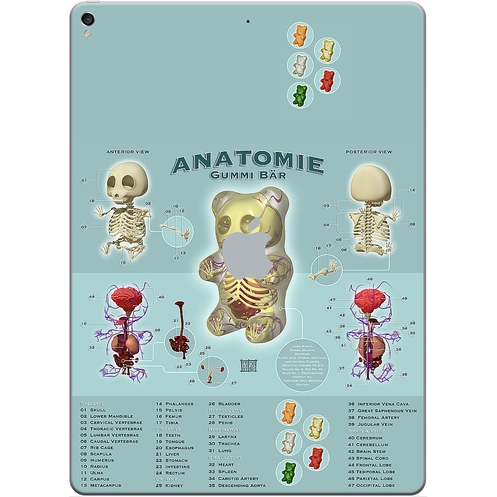 Gummi Anatomie iPad Skin