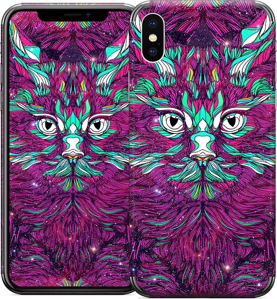 Space Cat iPhone Skin