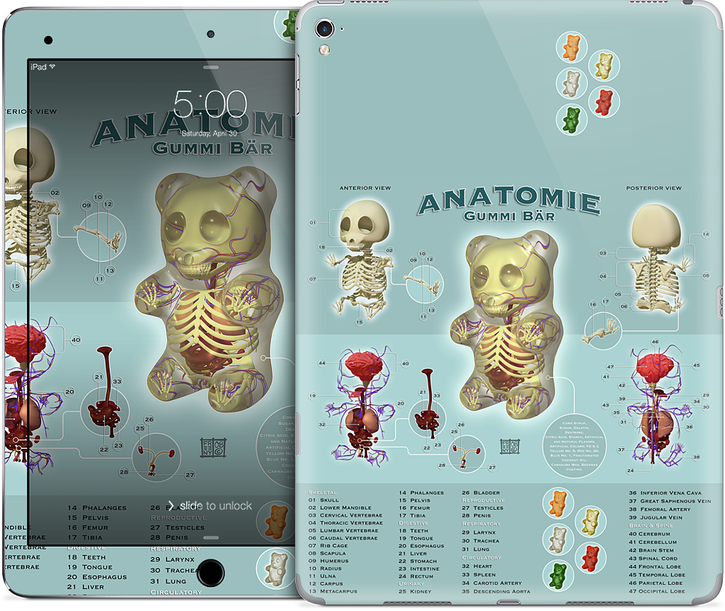 Gummi Anatomie iPad Skin