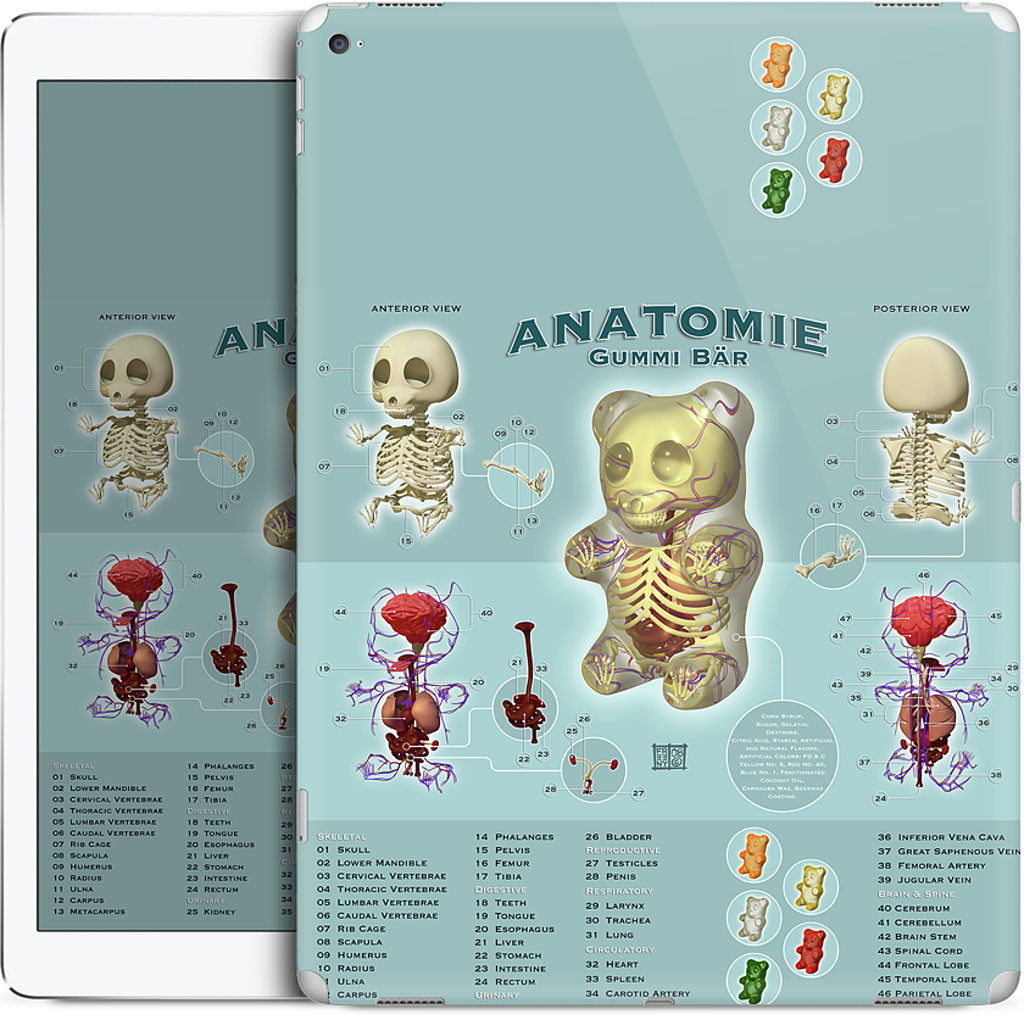 Gummi Anatomie iPad Skin