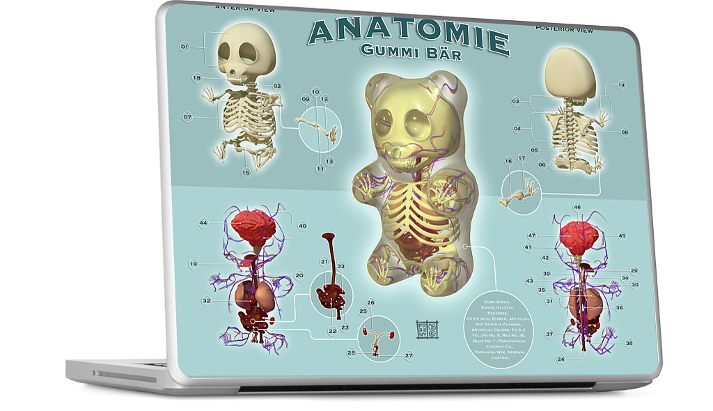 Gummi Anatomie MacBook Skin