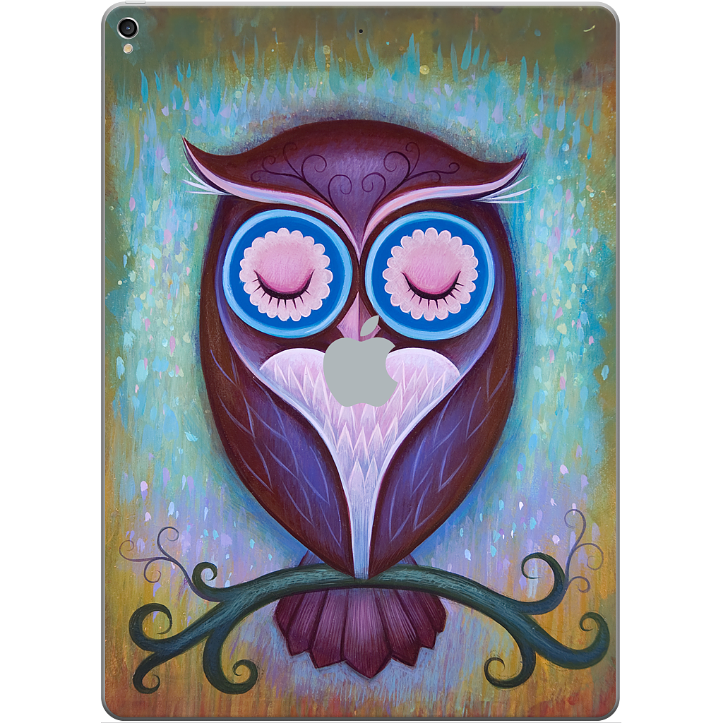 Sleepy Owl iPad Skin