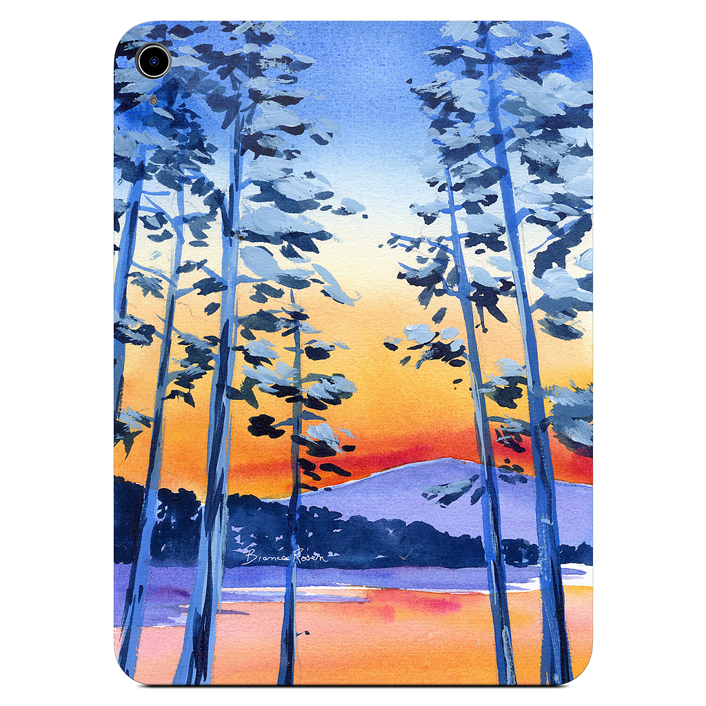 Lake Tahoe iPad Skin