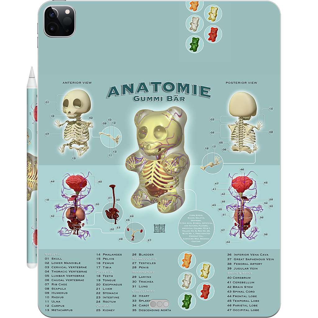 Gummi Anatomie iPad Skin